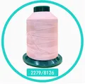 Garn Polyester hochfest 0,2 mm für Leder und Textilien – Farbe 2279
